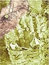Trench Priest: Life of Father William Doyle SJ