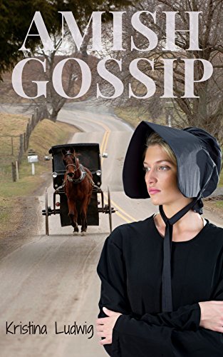 Amish Gossip book cover