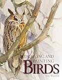 Drawing And Painting Birds English Edition
