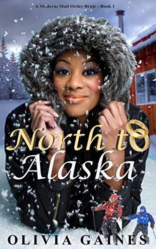 North to Alaska book cover