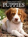 Puppies (Snapshot Picture Library)