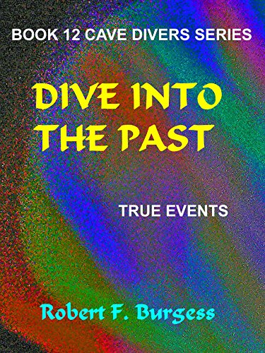 Dive Into The Past book cover