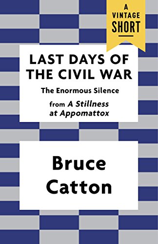 Last Days of the Civil War: The Enormous Silence book cover