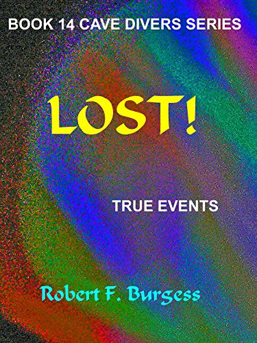 Lost! book cover