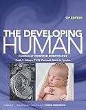 The Developing Human Ebook Clinically Oriented Embryology