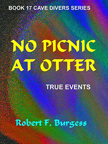 No Picnic At Otter book cover