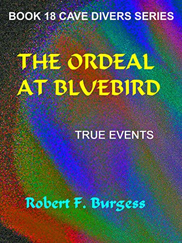 The Ordeal At Bluebird book cover