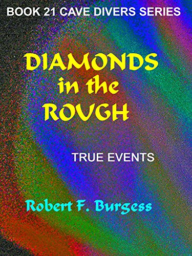 Diamonds In The Rough book cover