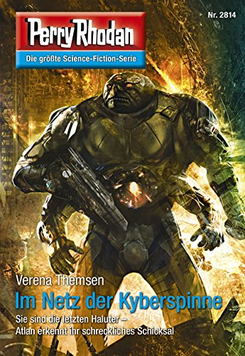 Im Netz der Kyberspinne: Zyklus "Die Jenzeitigen Lande" book cover