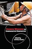 Chinese Workers In Comparative Perspective English Edition