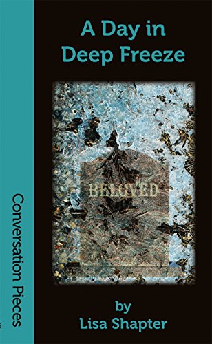 A Day in Deep Freeze (By: Lisa Shapter) cover