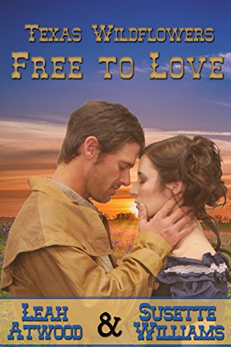 Free to Love book cover