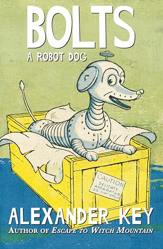 Bolts book cover