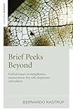 Brief Peeks Beyond Critical Essays On Metaphysics Neuroscience Free Will Skepticism And Culture English Edition
