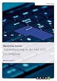 Automatisierung In Der Sap Gui Per Scripting German Edition