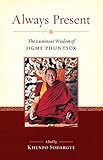 Always Present The Luminous Wisdom Of Jigme Phuntsok English Edition