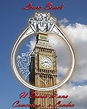 Il Diario Di Una Cameriera A Londra Italian Edition