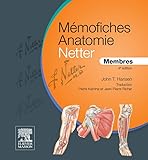 M%C3%A9mofiches Anatomie Netter   Membres