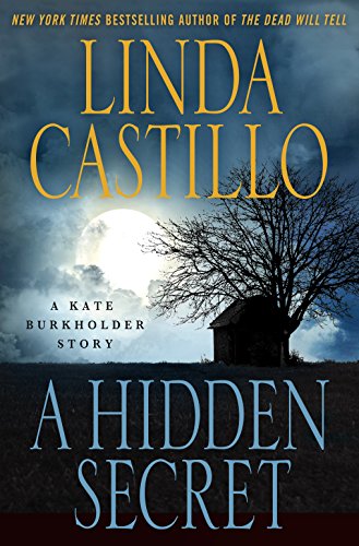 A Hidden Secret book cover