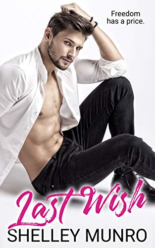 Last Wish book cover