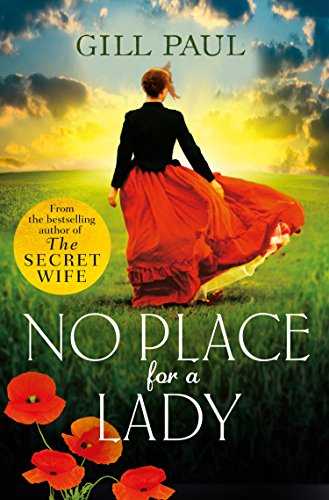 No Place For A Lady book cover