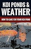 Koi Ponds Weather How To Care For Your Koi Pond English Edition