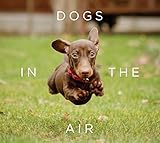 Dogs In The Air English Edition