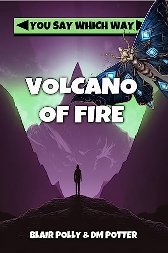 Volcano of Fire book cover