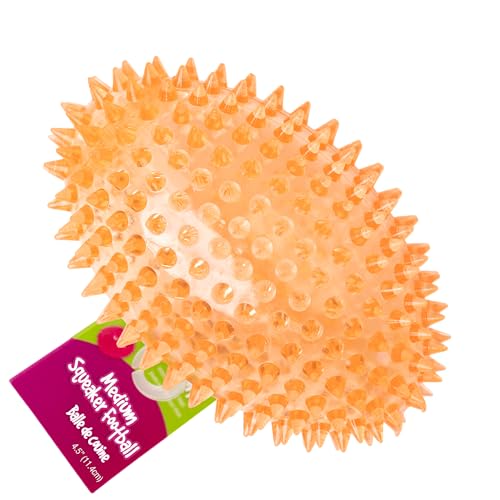 gnawsome squeaker ball