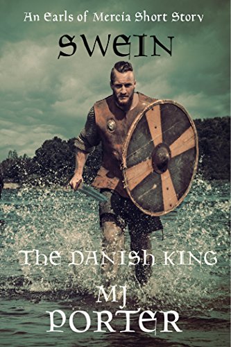 Swein book cover