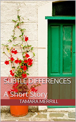 Subtle Differences book cover