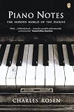 Piano Notes The Hidden World Of The Pianist