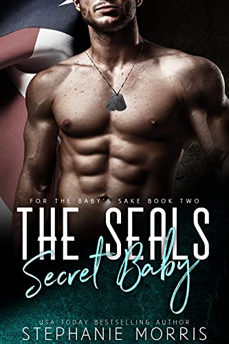 The SEALS Secret Baby book cover