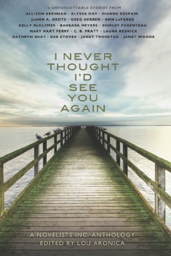 I Never Thought I'd See You Again book cover
