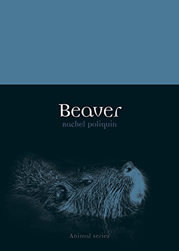 Beaver (By: Rachel Poliquin) cover