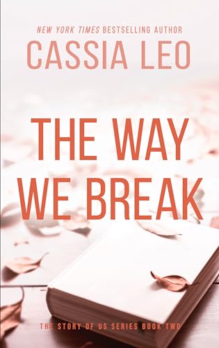 Break book cover