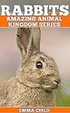 Rabbits Fun Facts And Amazing Photos Of Animals In Nature Amazing Animal Kingdom Book 17 English Edition