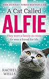A Cat Called Alfie The Perfect Book To Warm Your Heart This Christmas English Edition