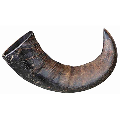 (-29%) TX-27743 Buffalo Chewing Horn Large