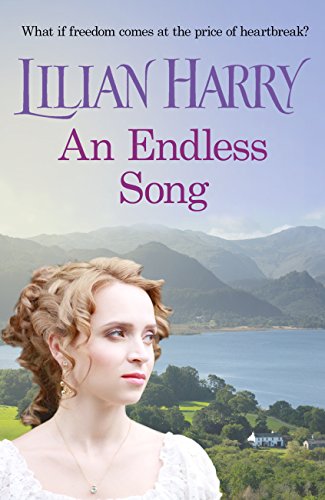 An Endless Song book cover