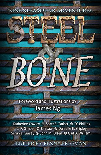 Steel and Bone book cover