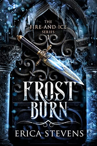 Frost Burn book cover