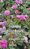 Growing Old Roses A Beginners Guide English Edition