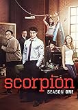 Scorpion: Season 1