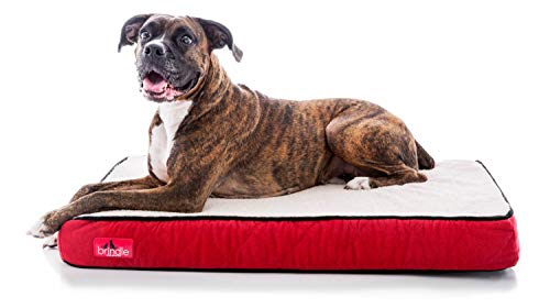 Brindle Waterproof Designer Memory Foam Pet Bed Designed to Last A great choice if you are worried