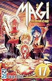 Magi Tome 17 Magi The Labyrinth Of Magic
