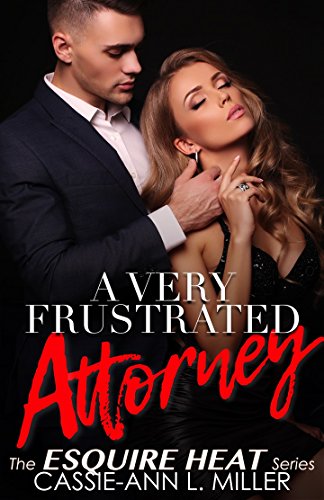 A Very Frustrated Attorney book cover