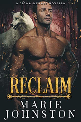 Reclaim book cover
