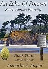 An Echo Of Forever: Jamie and Kellie, Book Three (Souls Across Eternity 3)