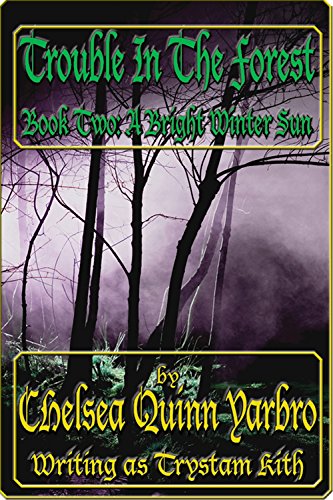 A Bright Winter Sun book cover